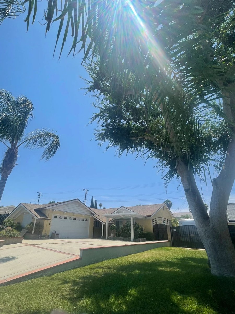 MDw6875243's tweet photo. Sunshine🌞
➕
Palm trees 🌴
All kinds of slow pace...

#happy    #beautiful   #instagood https://t.co/L0s3fFbyJg