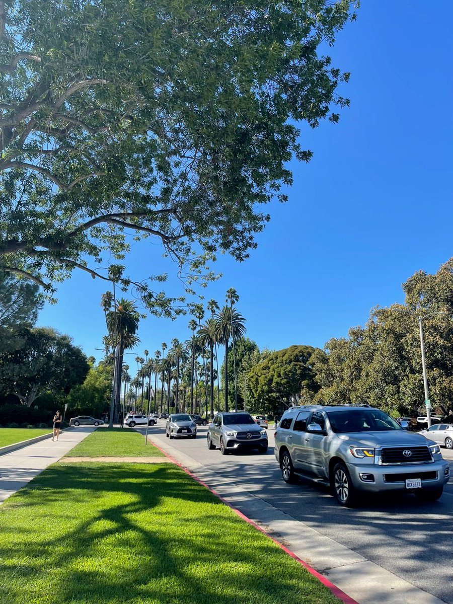 MDw6875243's tweet photo. Sunshine🌞
➕
Palm trees 🌴
All kinds of slow pace...

#happy    #beautiful   #instagood https://t.co/L0s3fFbyJg