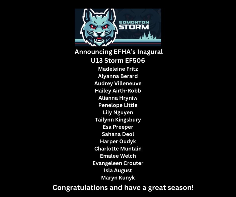 Edmonton Female Hockey Alliance tweet media