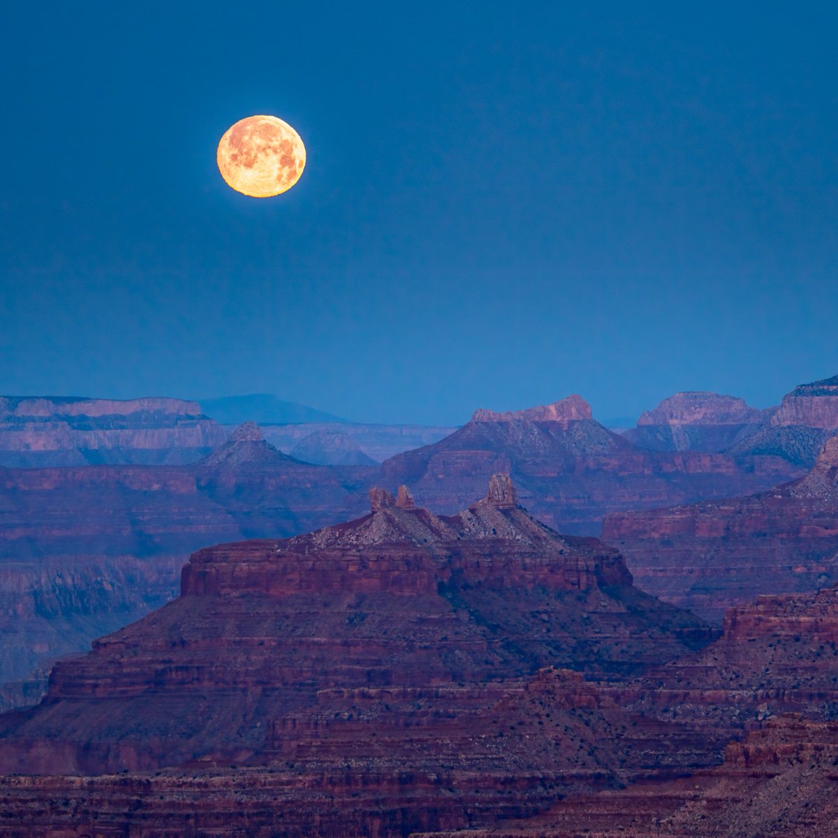 Grand Canyon Conservancy tweet media