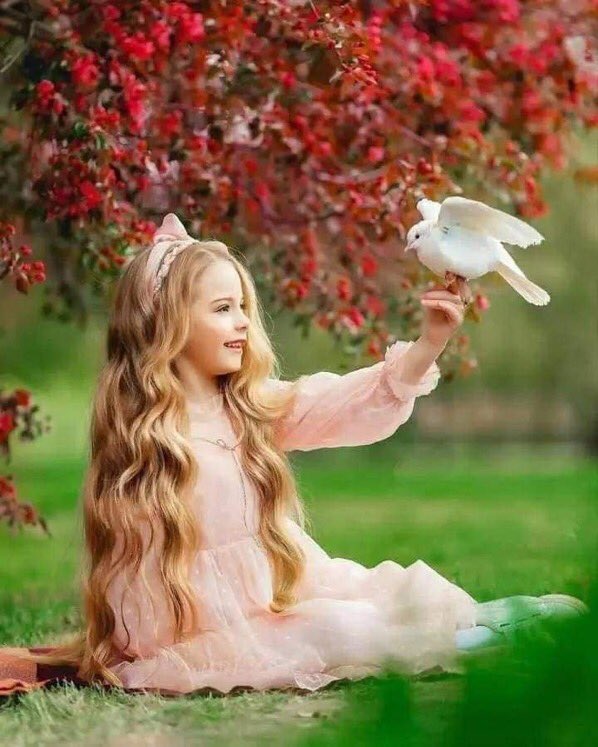 🕊💜 عند الهرَب .. نهربُ للحنون وليس للنَصوح ، فكُل حنونٍ يفهَم وإن لم يفهَم ، يتفهَّم ..🤍