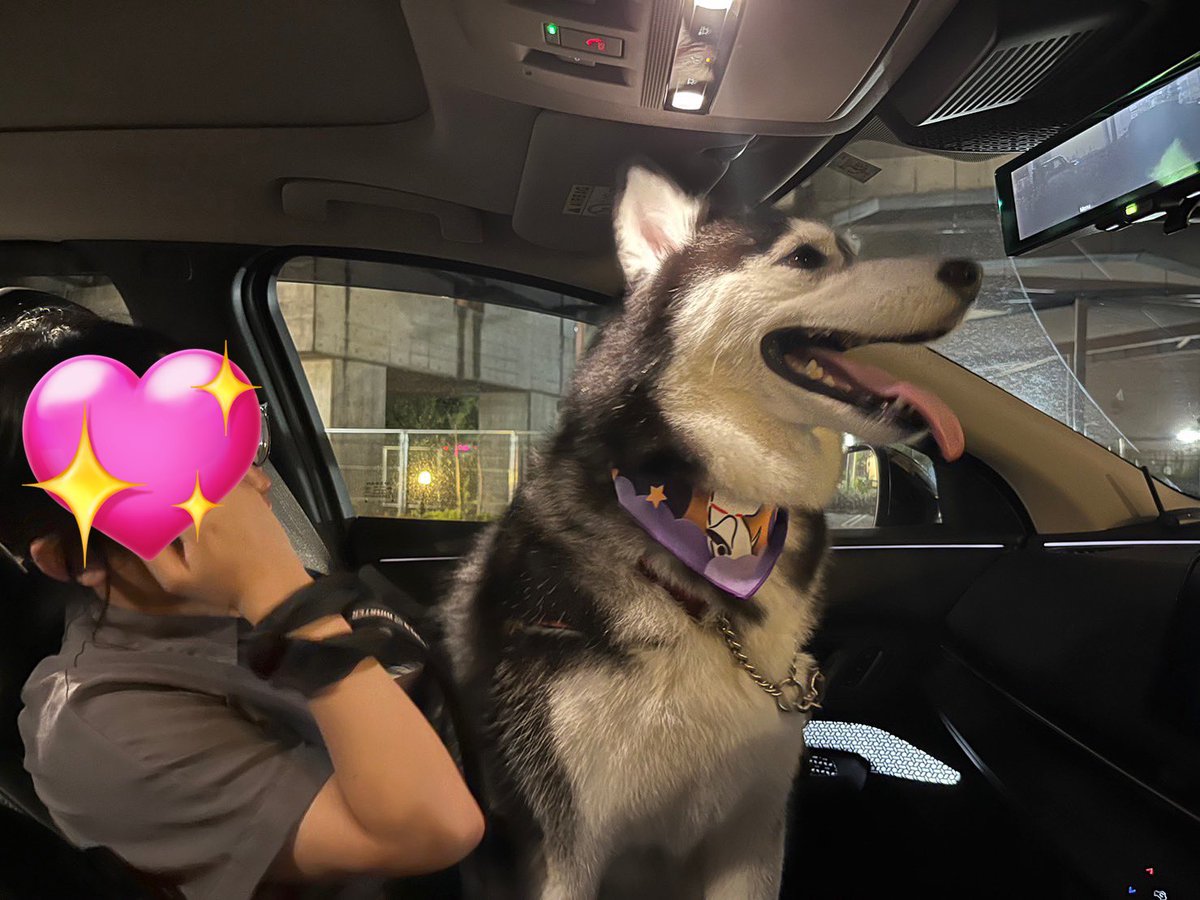 lime_husky_rolf's tweet photo. こんなに小さかったのに…
ママの腕もめっちゃ太くなってるわ…泣く https://t.co/sqWTVWIig2