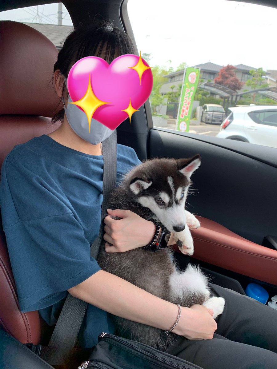 lime_husky_rolf's tweet photo. こんなに小さかったのに…
ママの腕もめっちゃ太くなってるわ…泣く https://t.co/sqWTVWIig2