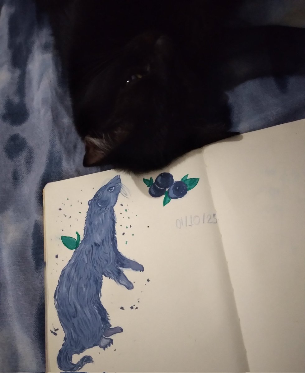 snowpardo's tweet photo. Meu apoio moral enquanto eu desenhava https://t.co/yRnTcR6wVw
