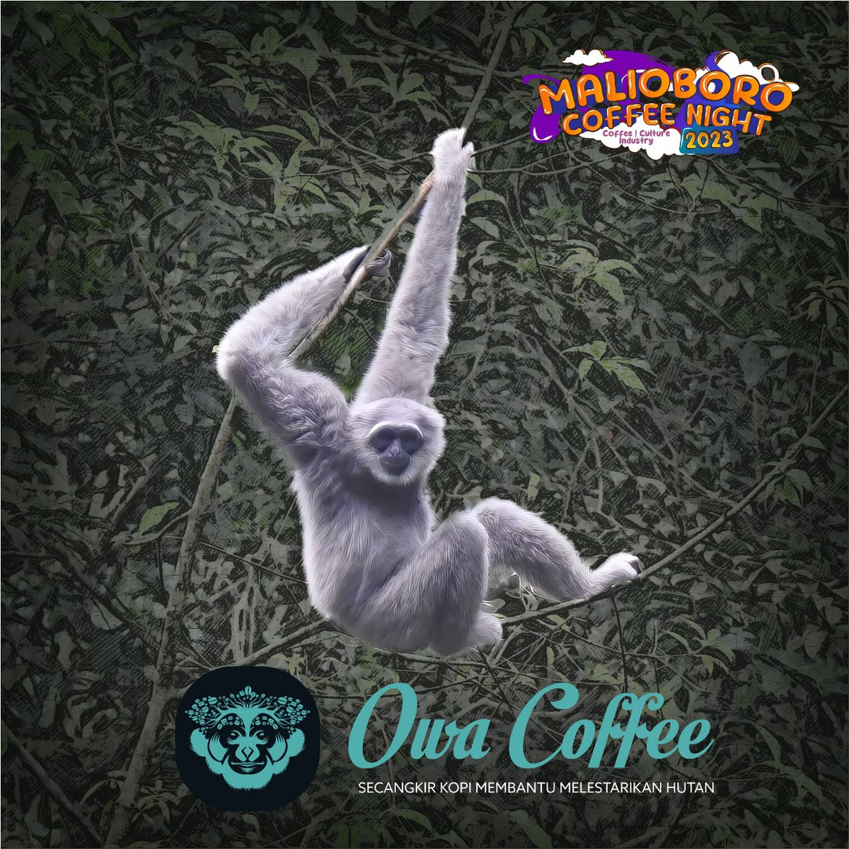 swaraOwa's tweet photo. #maliboro #coffeeFestival 1-6 October 2023,  with #coffee cup of java we promote #gibbon #nature and #sustainablelivelihood for the community and conservation it's self. https://t.co/wNv5ywWXrn