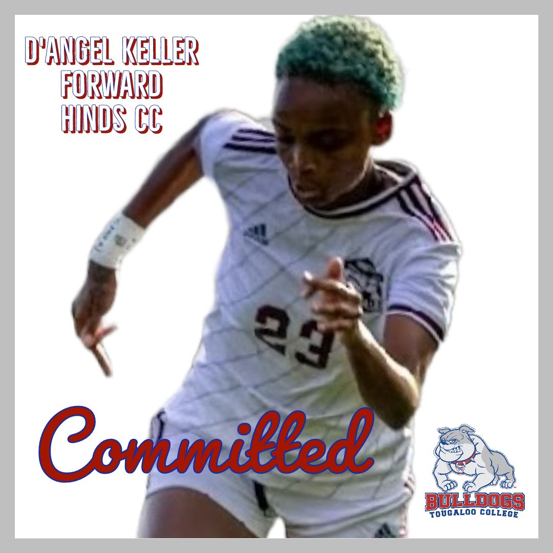 theloosoccer's tweet photo. 🚨 New Commit Alert 🚨

Welcome, D'Angel!
#welcometotheloo https://t.co/qerk7IegY3