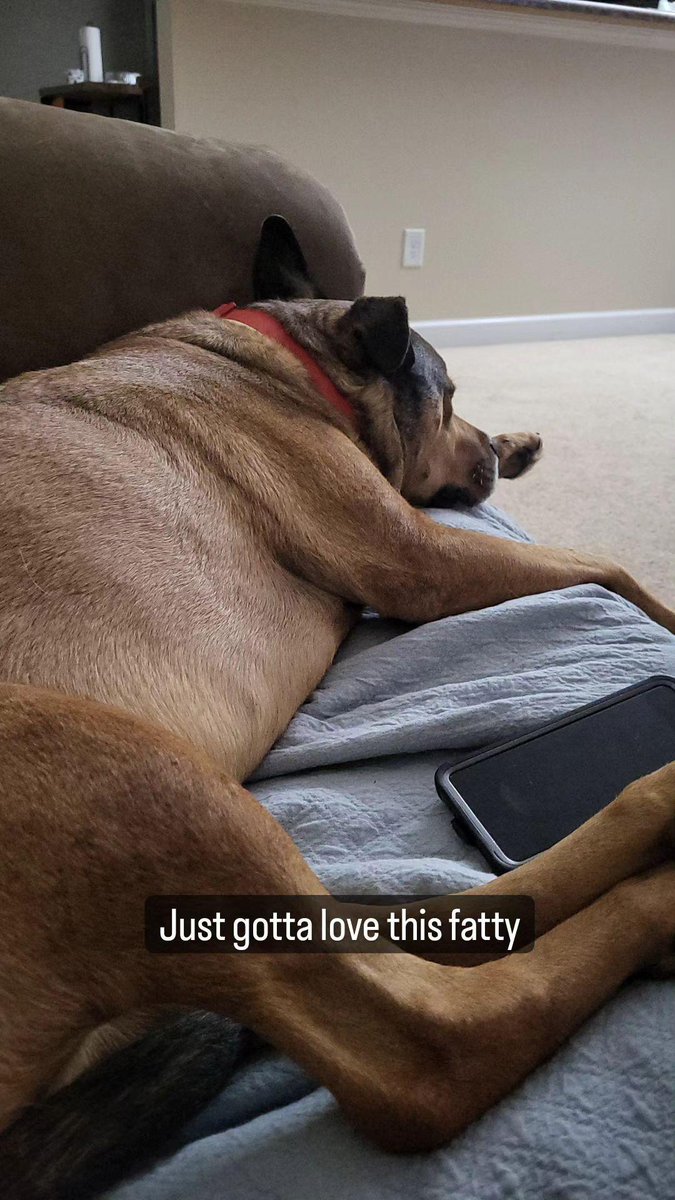 AmmoGuyGreg's tweet photo. Always my ride or die
#Like
#share
#follo4folloback
.
.
.
#NC #dogdayswithella #protector #rideordie #rottiemix #pitmix #servicedog #sleepypuppy #myfatty https://t.co/psBIsLuHtT