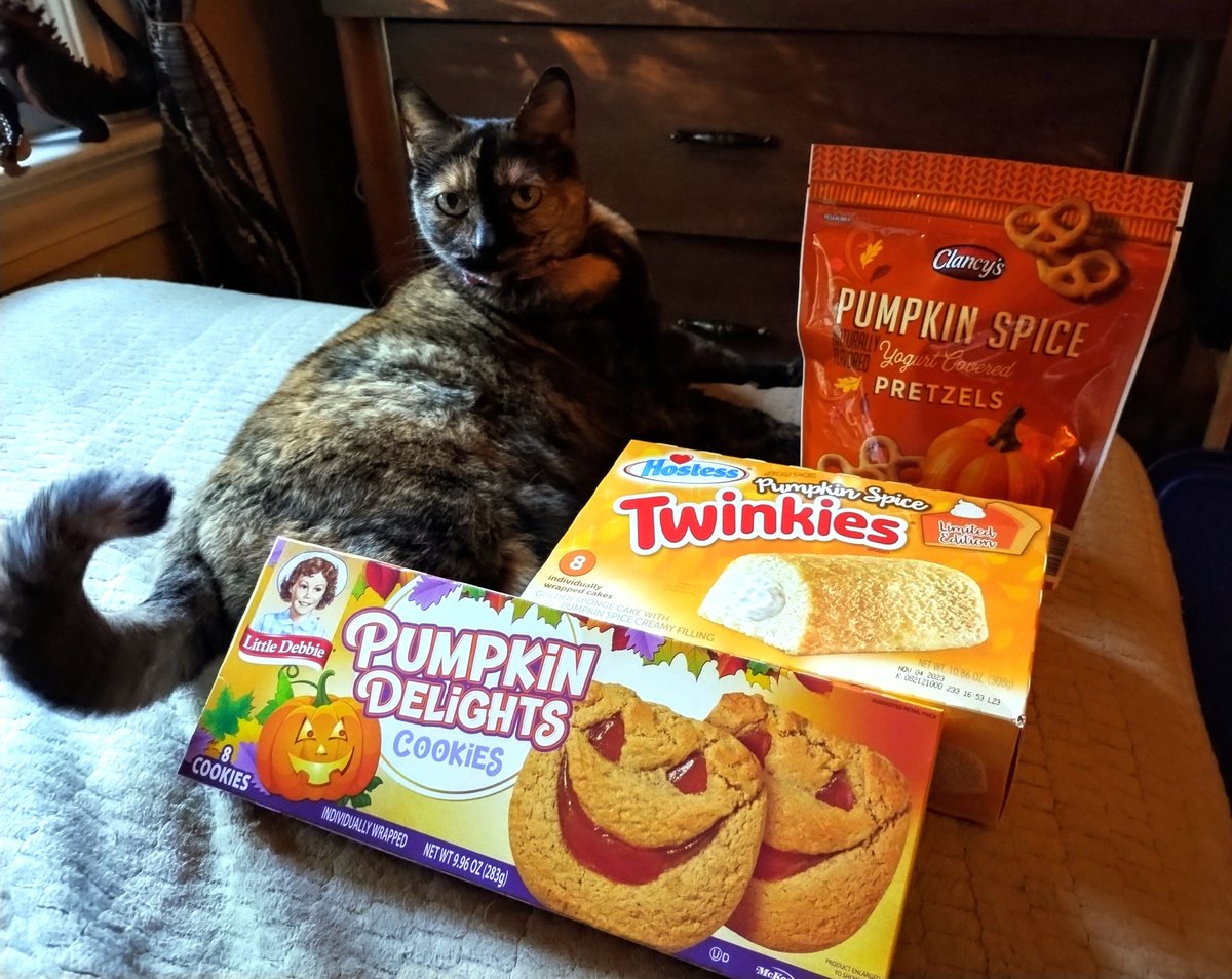 No, Quinn - the only problem I got is that I don't have enough pumpkin spice goodies for noshing 🎃🍪🥨😼😤😏 #snacktime #pumpkinspice #pumpkinspicelife #tortieswithcartoonists