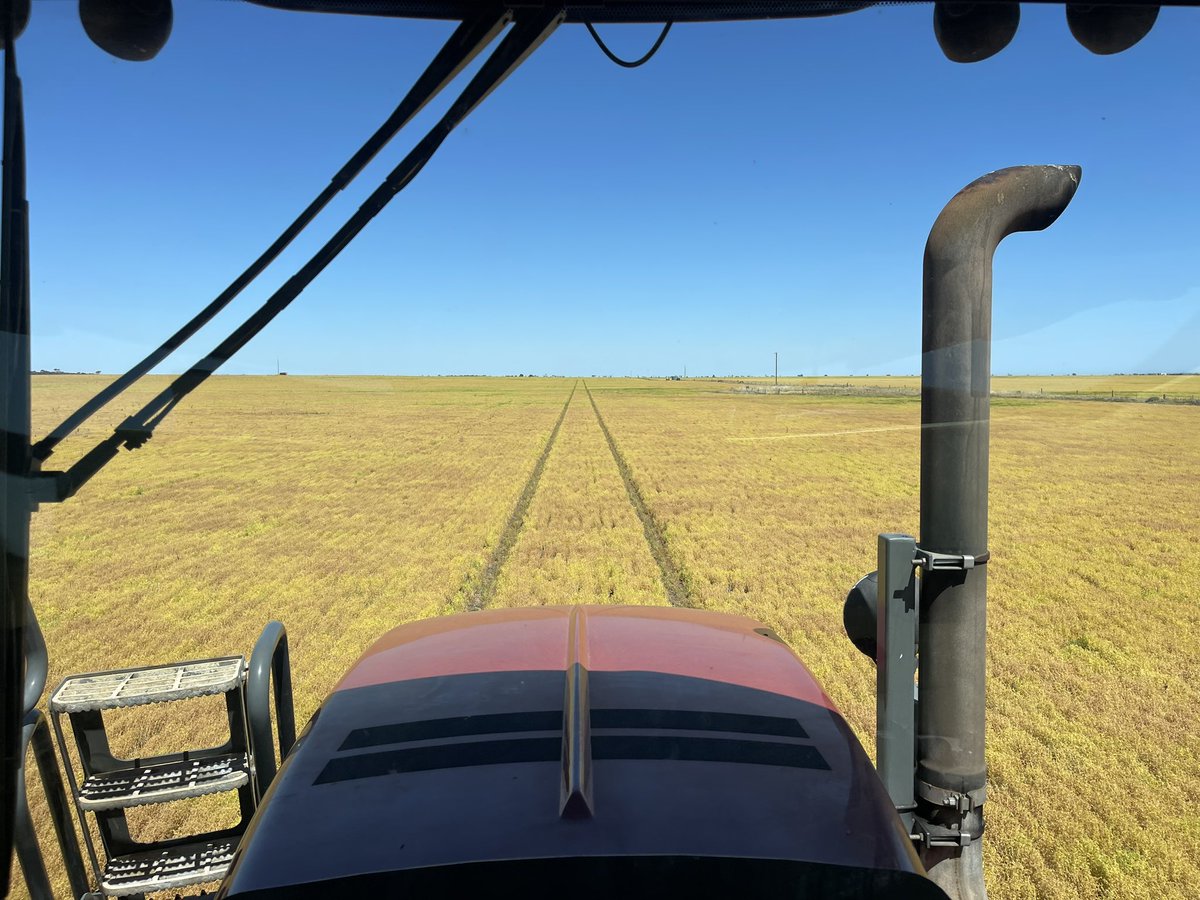 Angus Glazbrook tweet media