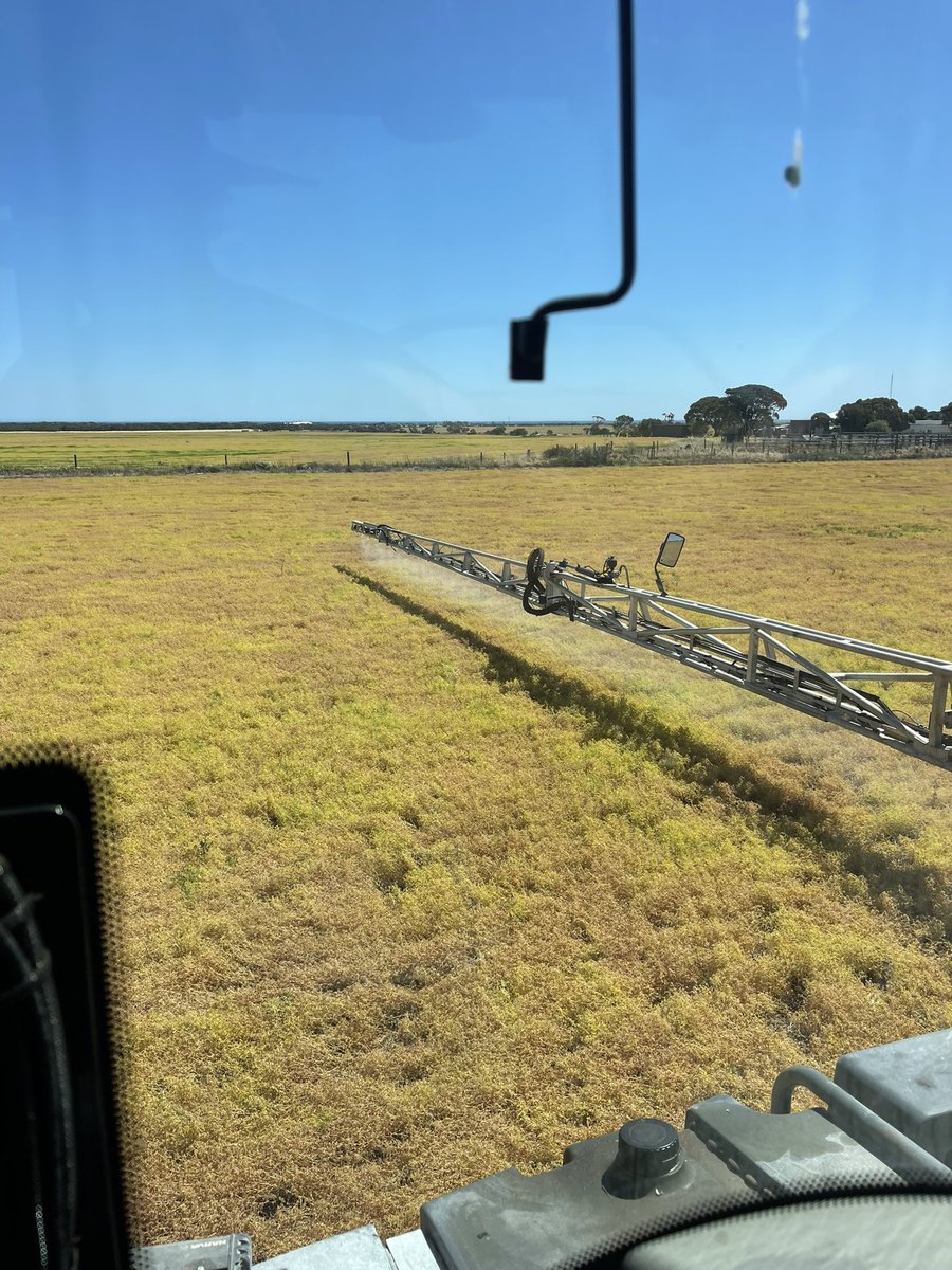 Angus Glazbrook tweet media