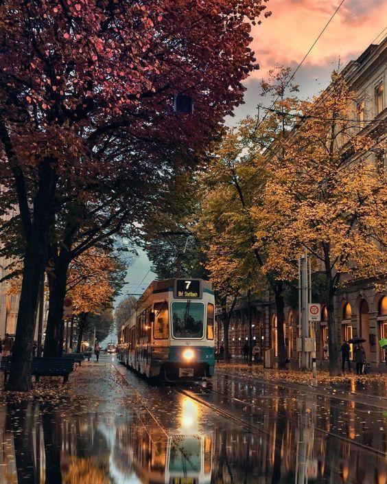 ritsakaris's tweet photo. ❊❊🧡❊❊
Beautiful

#ⁿᵃᵗᵘʳᵉˡᵒᵛᵉʳ #ⁿᵃᵗᵘʳᵉ #ᶠˡᵒʷᵉʳ #ˡᵒᵛᵉ 🧡📷💛 ❤️💜

#autumn_colors #autumn__trees #fall_landscape
#landscape #autumn #autumn_photography
#Fall #fall_leaves #fall_season #AutumnalMovieMagic_ #trees https://t.co/v0oLU8uWN4