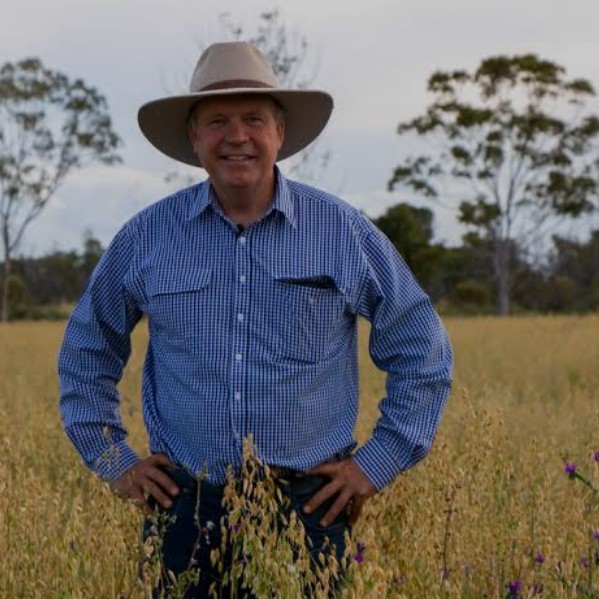 Mick Davis tweet media