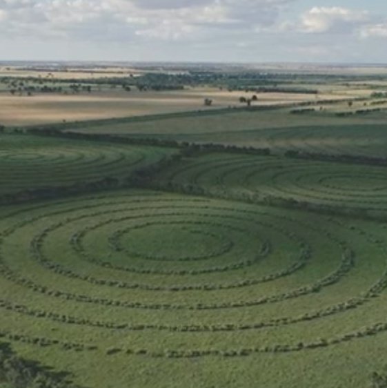 Mick Davis tweet media