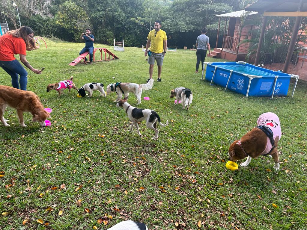 michygalvez_'s tweet photo. Un lugar #HumanFriendly se mira más o menos así: https://t.co/uGF4SrxwR1
