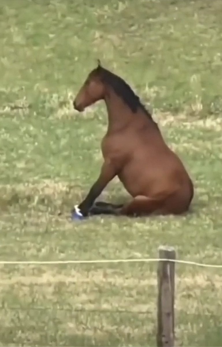 type shit I been on lately