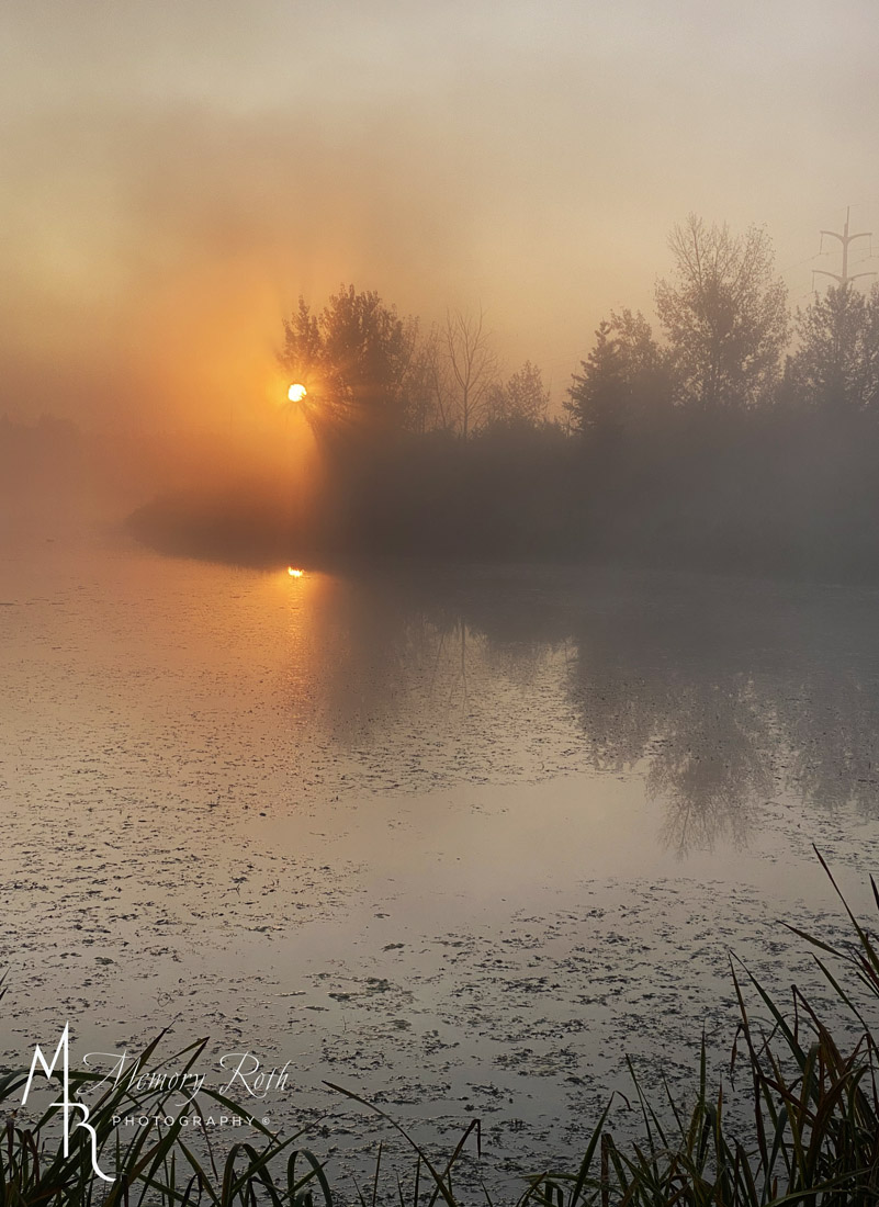 Memory Roth (@memoryroth) on Twitter photo Sunshine and fog, what a combination it makes! A beautiful morning at the ponds at Big Lake. Happy October everyone! #photography #BigLake #sunrise #October #fog #stalbert <a href="/cityofstalbert/">City of St Albert</a> #loisholecentennialprovincialpark Sunshine and fog, what a combination it makes! A beautiful morning at the ponds at Big Lake. Happy October everyone! #photography #BigLake #sunrise #October #fog #stalbert <a href="/cityofstalbert/">City of St Albert</a> #loisholecentennialprovincialpark