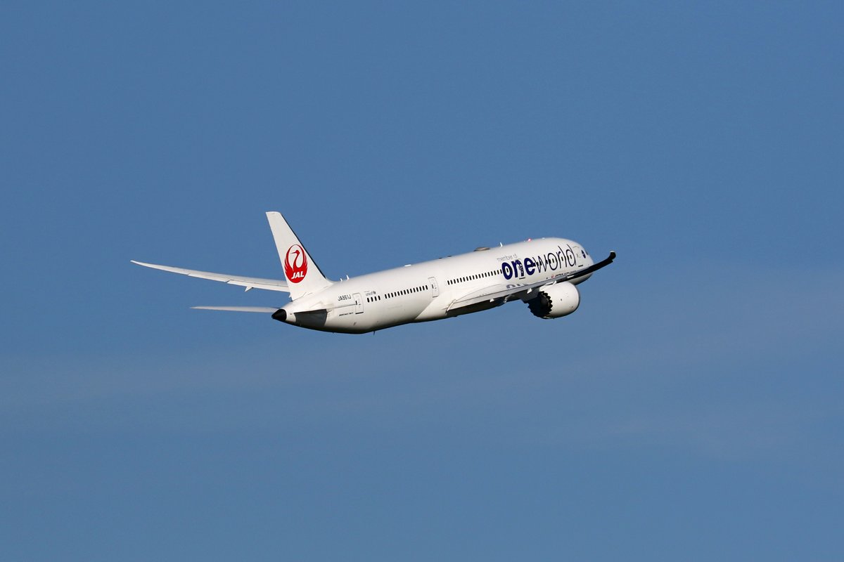今朝のJALの羽田便はOneworld塗装機のボーイング787-9でした。787が