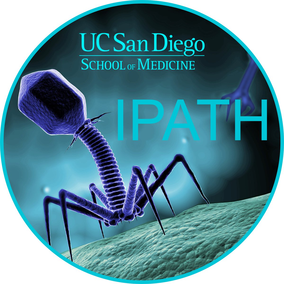 Amazing #jobopportunity available immediately as Program Coordinator @IPATH @UCSDMedSchool! Please RT. #AMR #phagetherapy #superbugs #clinicaltrials #microbiology #virology Apply to requisition #125691 RSCH GNT PRG OFCR 3 on the job bulletin at employment.ucsd.edu