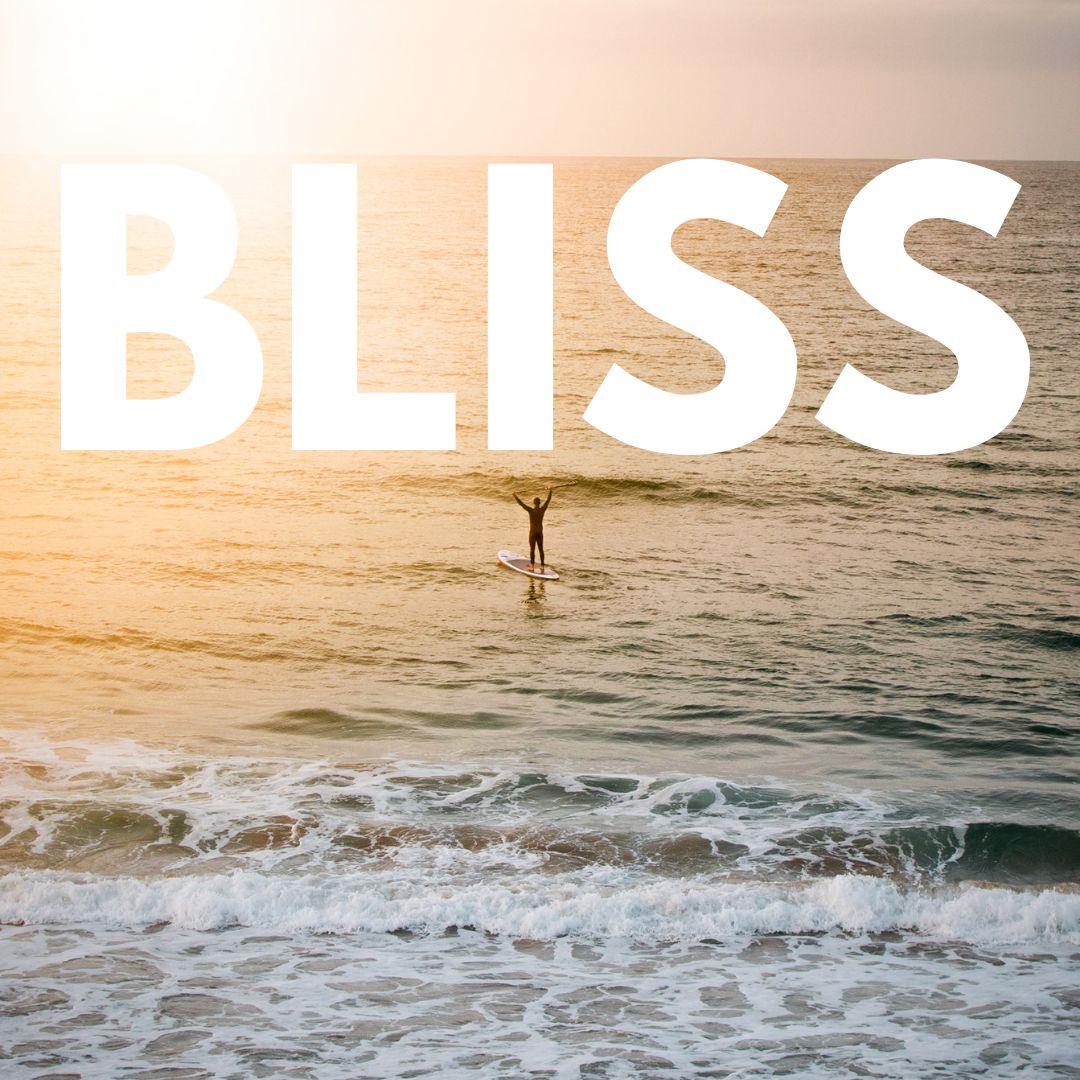 shār snacks tweet media