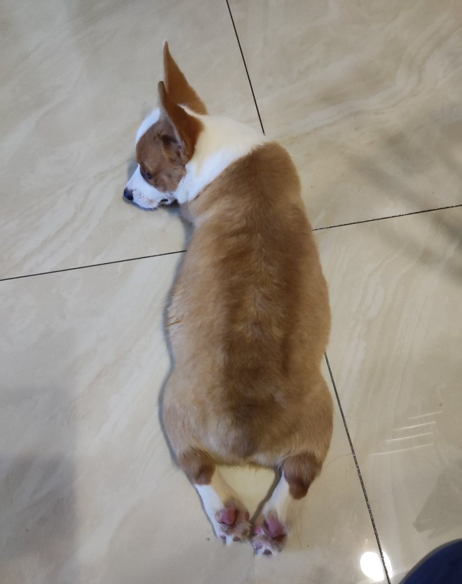 chong (@ahko3202) on Twitter photo 