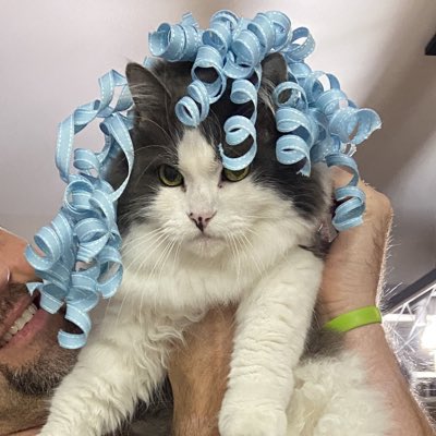 Miranda_BossCat's tweet photo. #NewProfilePic https://t.co/ZVGVvgxPUv