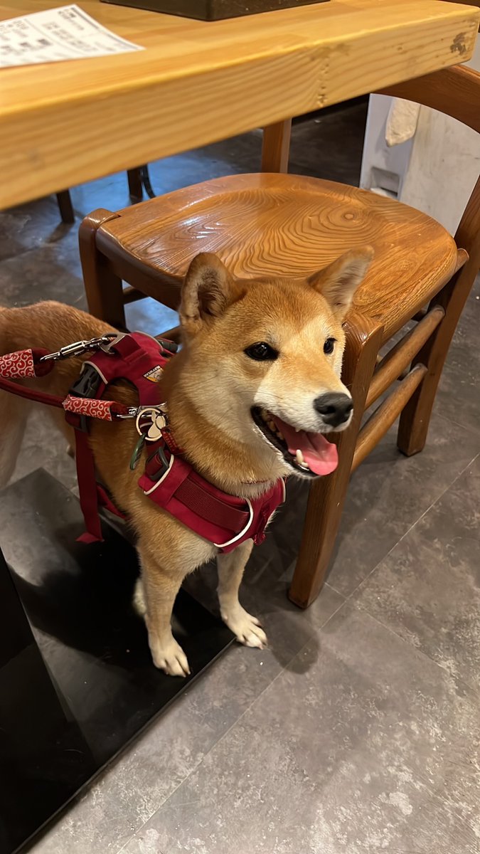 おはよう御座います♪今日の最中^_^