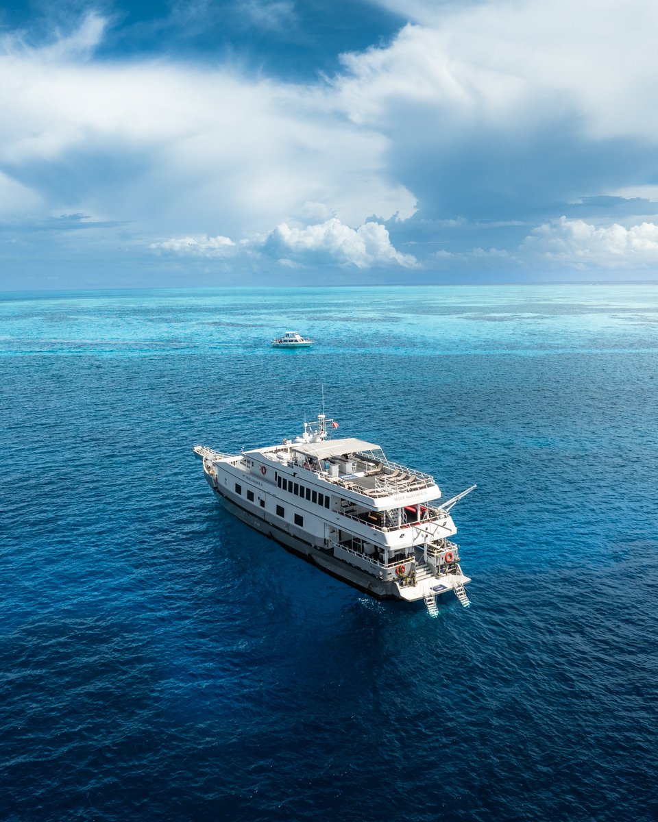 Jones_y's tweet photo. Dive. Eat. Sleep. Repeat 🛥️🤿🇧🇿💙
#Belize #Liveaboard

https://t.co/tZ4zxQNDLI https://t.co/tnTPdsD6Dv