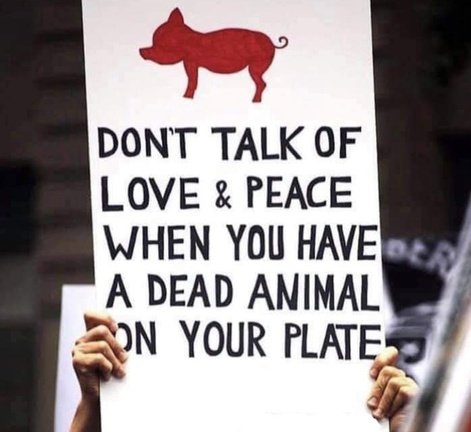 Bernardo Castro tweet media