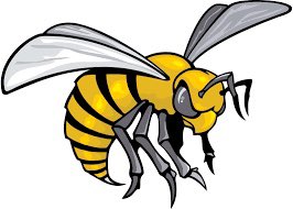 AndersonAsjon's tweet photo. After a great conversation with @WadeNoDwyane I’m blessed to receive a Division 1 offer from Alabama State University #jucoproduct https://t.co/U4kNLL0Mhl