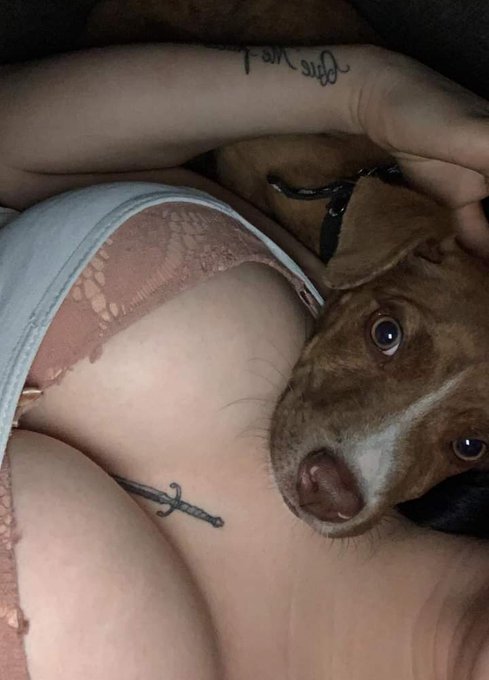 Si me vas a tratar como perro que sea as&iacute; https://t.co/jpwoednwnk