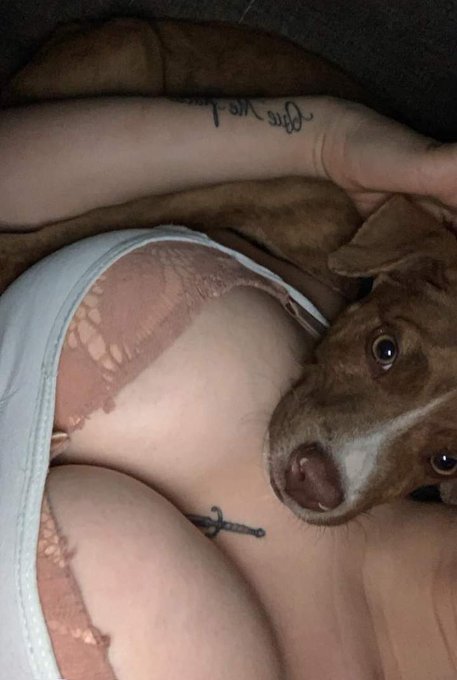 Si me vas a tratar como perro que sea as&iacute; https://t.co/jpwoednwnk