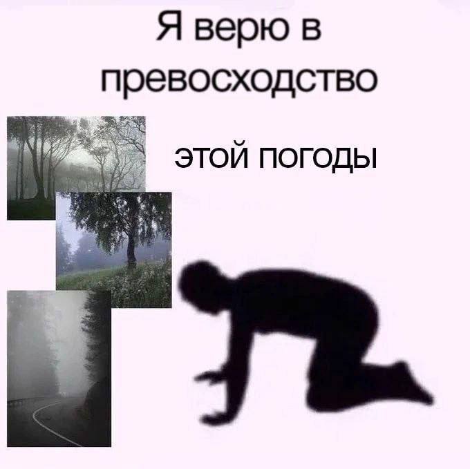 RussianMemesLtd's tweet photo. I believe in this weather

supremacy https://t.co/unUWSj1cge