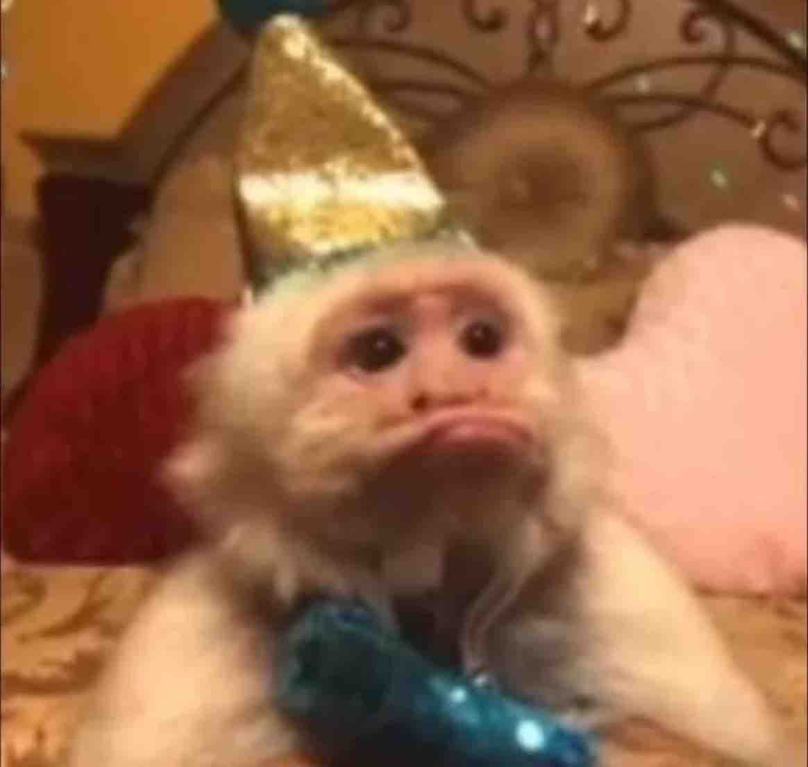 Guarromantico_'s tweet photo. Yo en mi cumpleaños cuando me digan “te debo tu regalo”. https://t.co/o8EHUga19F