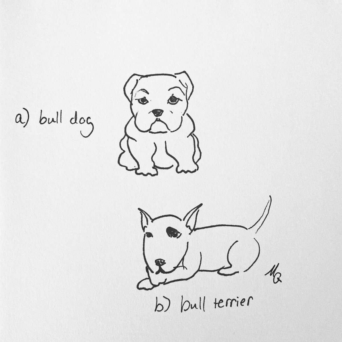 JHWatsonSoc's tweet photo. We have decided that it is time that the John H Watson Society should have a mascot, and who better to represent us than Watson’s bullpup? But herein lies a little difficulty! Is this puppy a bulldog or a bull terrier? https://t.co/flaXo0NuHj