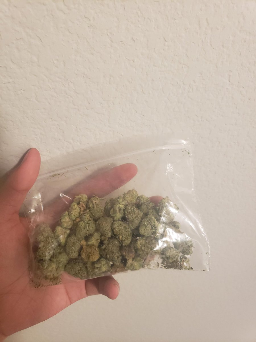 hellablazed420's tweet photo. solo smoke sesh tonite. purposely smoking in my room to piss off step dick. it’s a good nite https://t.co/KT05YyHO6P