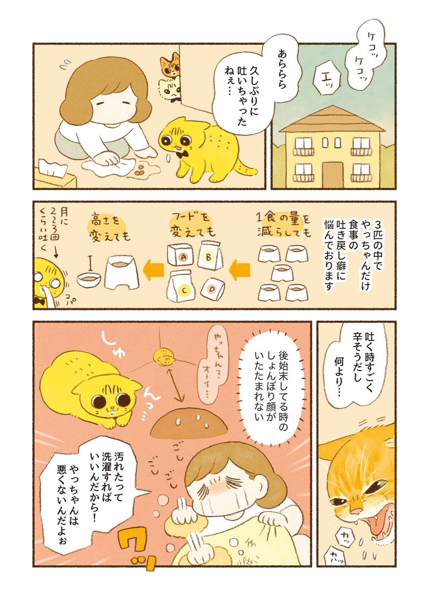 食事の吐き戻しを軽減する『 #AllWell 』を試したら、とっても嬉しい結果になりました…! 現在はわが家の1軍フード入りです。  今ならキャンペーンで試供品がもらえるので、 同じような悩みを持つ方はぜひお試しください🐱✨  詳しくはリプ欄に↓ #PR #ユニ・チャーム #オールウェル