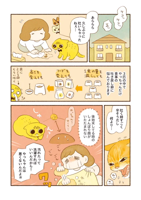 食事の吐き戻しを軽減する『 #AllWell 』を試したら、とっても嬉しい結果になりました…! 現在はわが家の1軍フード入りです。  今ならキャンペーンで試供品がもらえるので、 同じような悩みを持つ方はぜひお試しください🐱✨  詳しくはリプ欄に↓ #PR #ユニ・チャーム #オールウェル