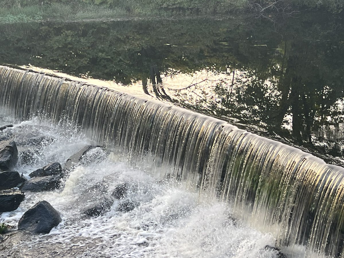 H2O_Soni's tweet photo. Signs of Autumn in beautiful Saugatucket River. The river and dam are looking extra beautiful today.
#SaugatucketRiver #PradhanangLab @universityofri @URI_GEO @uricels #dams #fishladder #Fall2023 https://t.co/cTxlhHwgU9