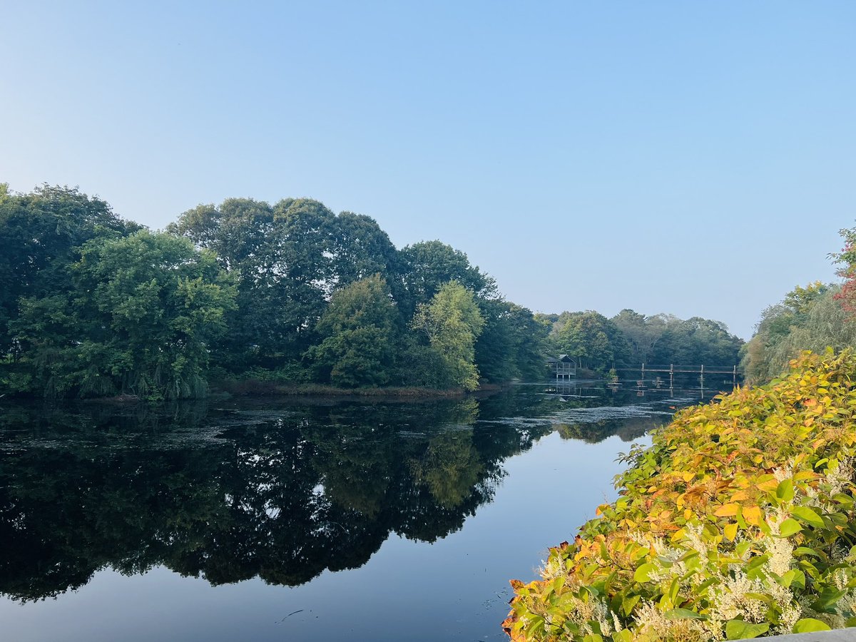 H2O_Soni's tweet photo. Signs of Autumn in beautiful Saugatucket River. The river and dam are looking extra beautiful today.
#SaugatucketRiver #PradhanangLab @universityofri @URI_GEO @uricels #dams #fishladder #Fall2023 https://t.co/cTxlhHwgU9