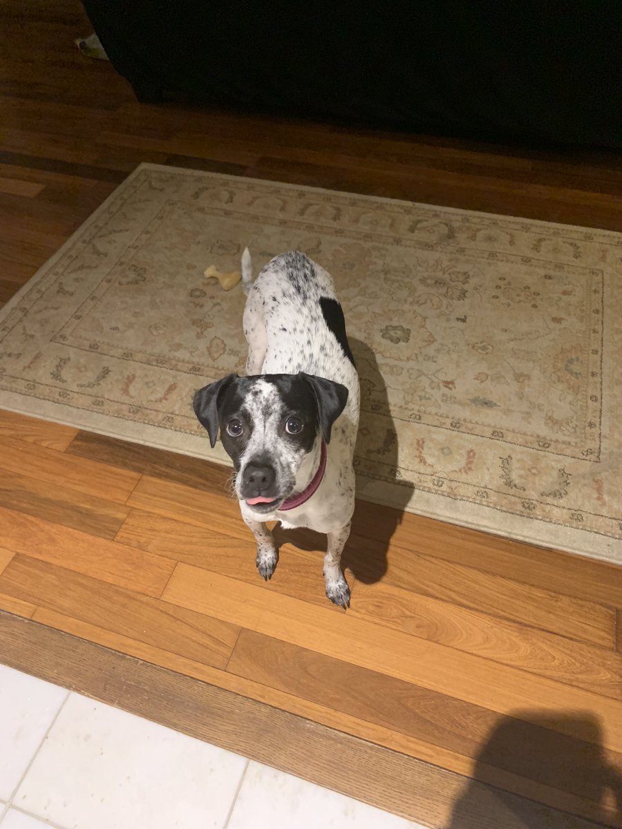 I just spent three hours combing the greater Campton Hills area for this idiot. I’m physically and emotionally drained. Turns out …. She locked herself in a closet.