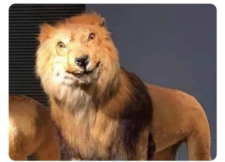 𝑨𝒈𝒖𝒔𝑫𝒆𝒏𝒊𝒔𝒆🌙 tweet media