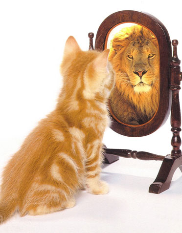 raulgodoy__'s tweet photo. #Debate2023 
La Rusa @myriambregman pone las cosas en su lugar.
Pone en su lugar a todos los candidatos del ajuste .
Y un detalle ...Milei...es el gatito mimoso del poder económico... https://t.co/dhYkMXV0vt