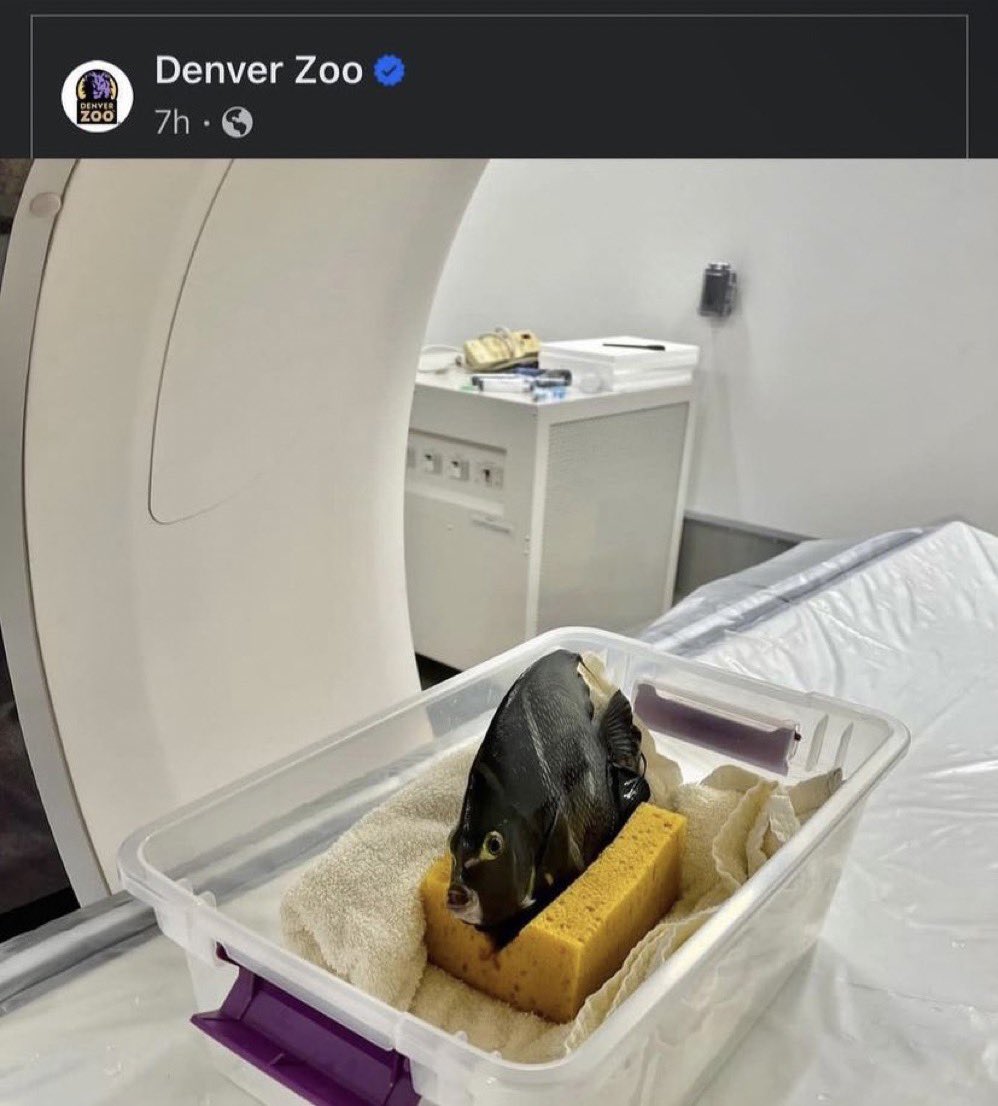 kelsey20002019's tweet photo. This is how it feels to be me https://t.co/dhrEWdI8Vo