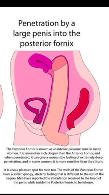 Known by some as the 2nd G-Spot, only big dicks can tap into the intense erogenous zone known as the<a href="/tag/sph"class="tags"><span>#sph</span></a>
