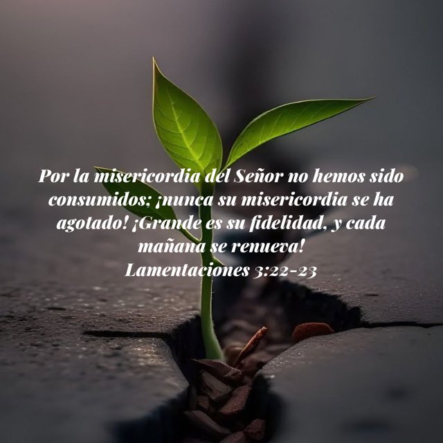 eliezergtz2's tweet image. Dios nos permite en su misericordia llegar a este mes de octubre. Deseo a todos mis hermanos que, Dios les llene de bendiciones de paz, prosperidad, salud y bienestar, en compañía de sus familias. ¡Un abrazo en Cristo!