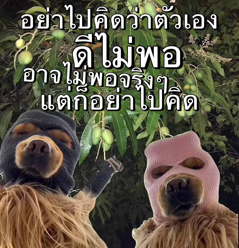 ไกด์การทำงานสัปดาห์นี้ค่ะ 55555555 🥹