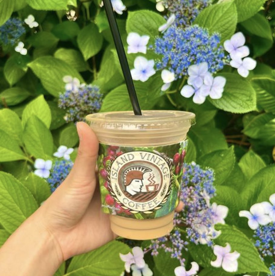tokyo_students's tweet photo. 【空きコマにおすすめ🍽️】
Island Vintage Coffee
アイランドヴィンテージコー���ー
青学から徒歩11分程度
ハワイの雰囲気を味わえるホノルル発祥のカフェ🏝️
フローズンが本当に美味しい
フローズンのパウダーが売ってるから自宅でもこの味を楽しめるのが最高

#青学　#表参道 https://t.co/8PXX9LXHQo