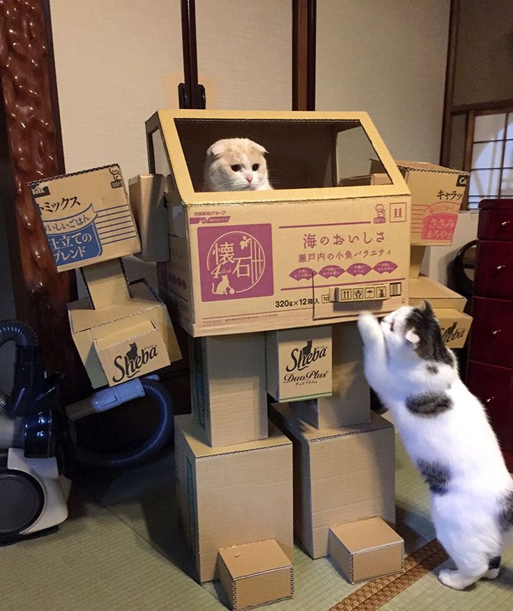 あいこちゃん tweet media