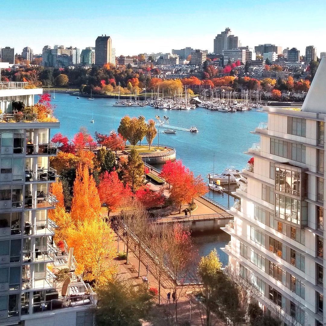 604Now's tweet photo. October's arrival brings a symphony of fall colors to #Vancouver. 🍂🏙️ 

(Photo by legere_photos / IG https://t.co/GPiyXwzsfU) https://t.co/IxpjvPayOg
