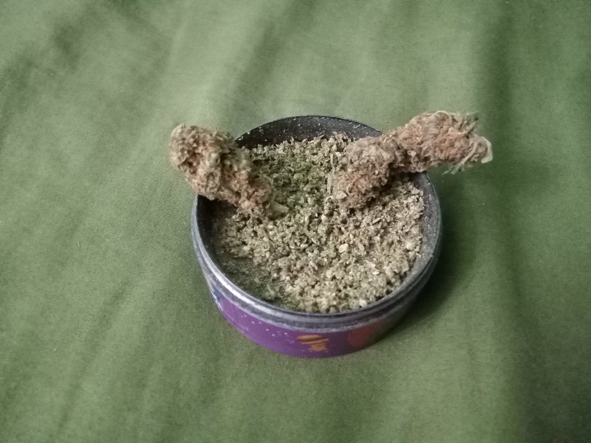 infielestampico's tweet photo. #420friendly le regale unas flores indoor a mi esposa. Amigos les estaremos mandando mensaje para nuestro siguiente pedido @jonekush @Jonekush1 https://t.co/XYUzCI27Ts